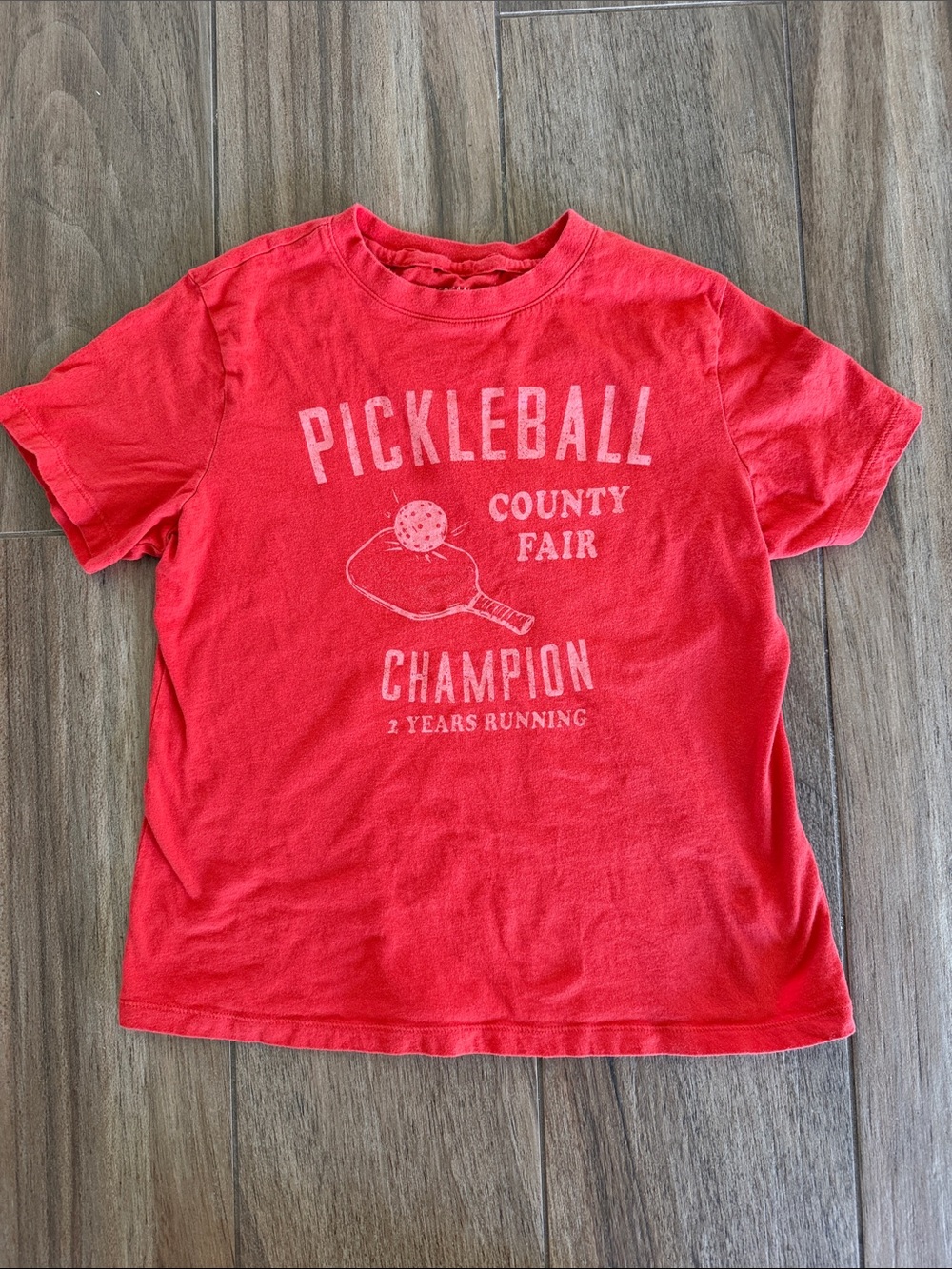American Eagle Outfitters Red Pickleball County Fair Graphic Tee - Women’s Small